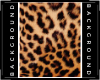 Jaguar background
