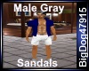 [BD] Male Gray Sandals