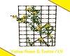 LV/Yellow Roses &Trellis
