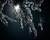 invierno
