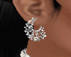 Siver Earring