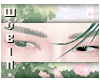 🐁 Forest Brows