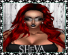 Sheva*Red 7