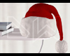 DW. Santa Hat