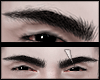 s. Eyebrow V black