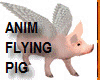 Flying  Cutest Pig