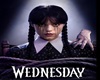 WednEsday.A