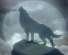 Howling Wolf/Frame