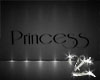 ❉|Princess Sign