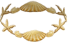 Sea Shell Choker