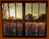 Country Rain /Window
