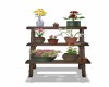 Plant  Stand