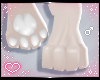 ˏˋ✧ Furry Paws