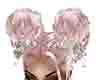 xareni crown flowers