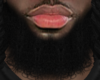 Asteri Beard #019
