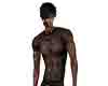 musculos body
