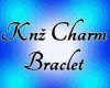 KNZ Charm Braclet