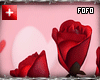 m/f bouquet roses