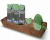 tequila tray