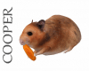 !A hamster eating
