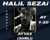 HALiL SEZAi-AYYAS(SiiRL)