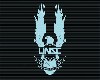 UNSC Wall flag
