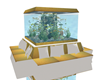 Gold and White Fish Tank