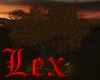 LEX - dark fall leaves a