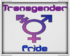 Transgender Pride