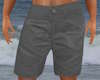Grey Shorts Swim Trunks