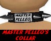 Master Pelleo's collar