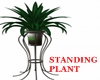 Standing Plant