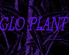 GLO Plant