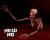 Skeleton