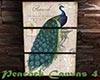 [M] Peacock Canvas 4