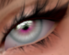 Bunny Eyes