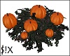 [GRaVe] Pumpkin Patch