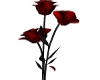 SG Blood Rose Animated