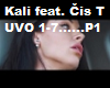 Kali feat. Čis T