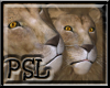 PSL Lion Enhancer