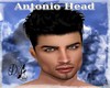 |DRB| Antonio Head