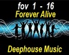 Deephouse Music Remix