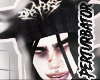 ★ Bull Hat