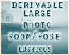 L. Large Photo/Pose Room