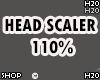 Head Scaler 110