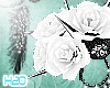 S* Houlder Roses White L