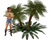 Pygmy Palms & Ferns