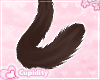 C! Kitty Tail Brownie