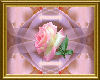 AG Pink rose frame