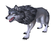 Wolf grau